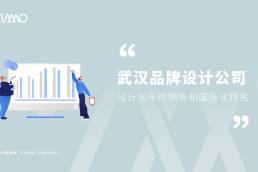 武汉品牌设计公司保证设计水平的领先和国际化排名