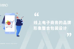 线上电子商务的品牌形象整合包装设计