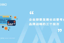 企业想要发展长远要考虑品牌战略的三个层次